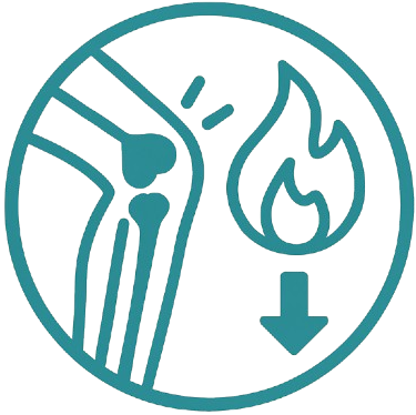 Inflammation Solutions